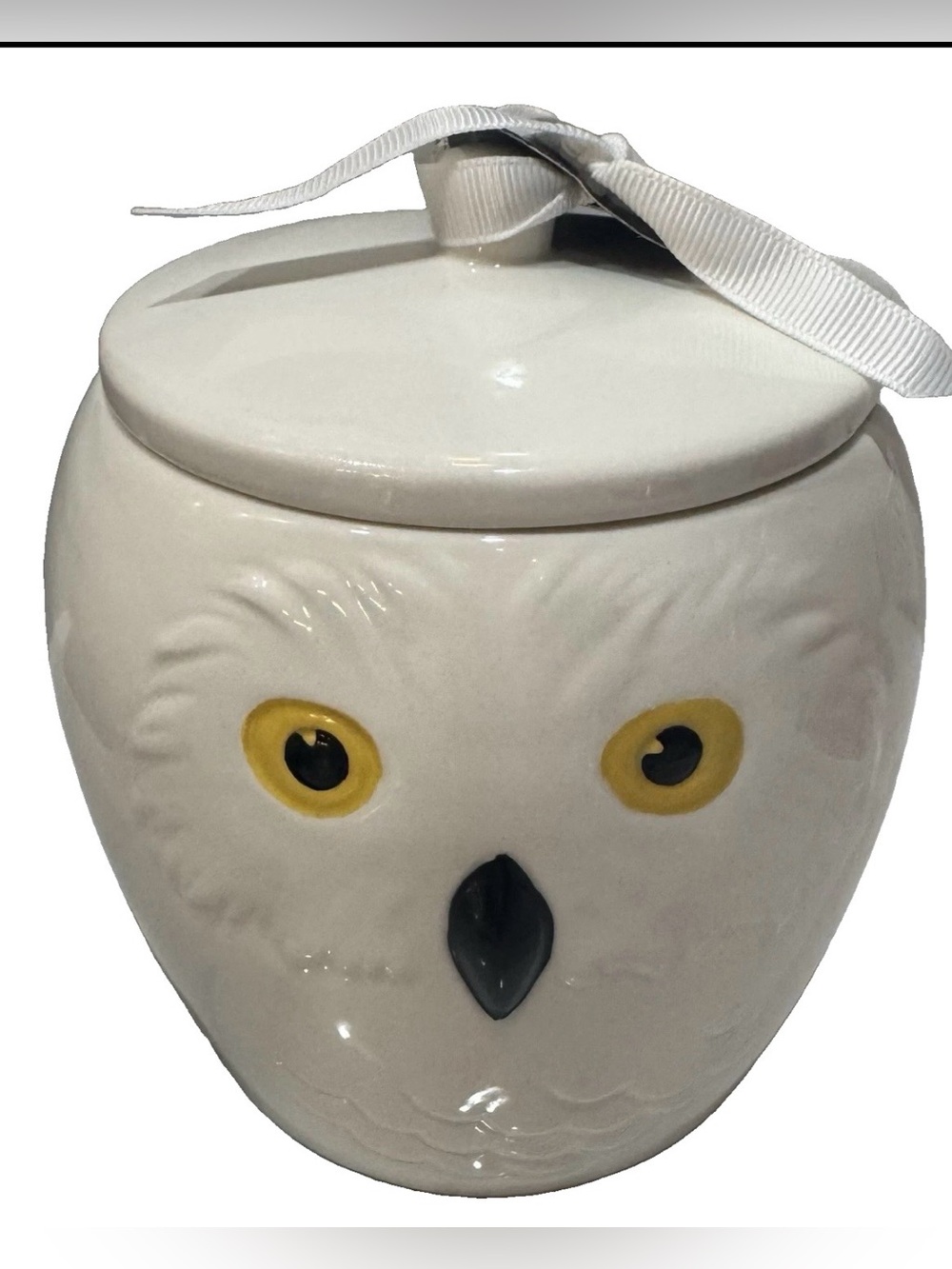 Rae Dunn Harry Potter “Hedwig” Canister/Cookie Jar  w/Hedwigs Owl Face NWT